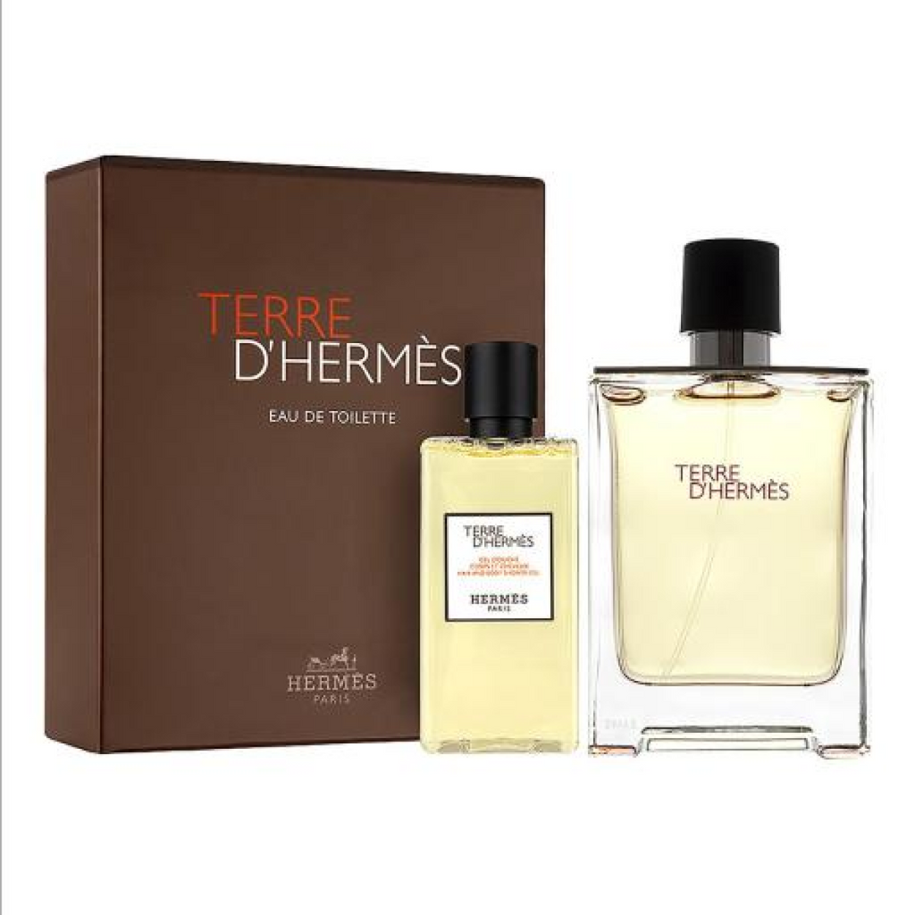 Hermès Terre dHermès Gift Set (Eau De Toilette 100ml  Shower Gel 80ml)