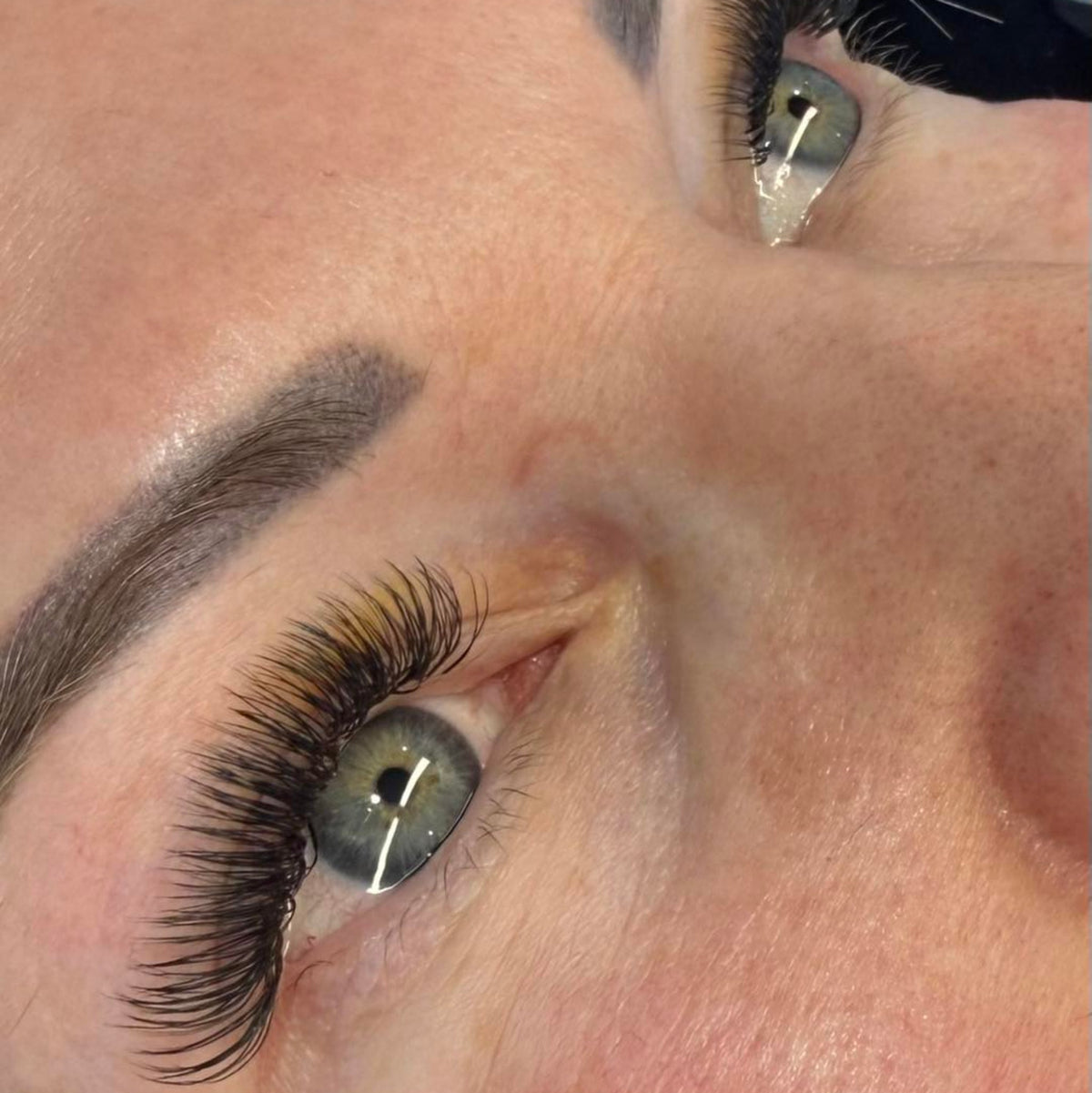 U Collection Lashes – 2DU, 3DU, 4DU & 5DU Mixed Tray