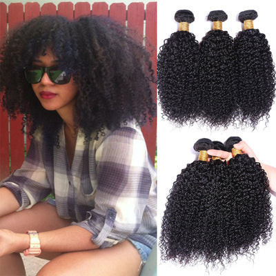Kinky Curly Wig - African Style