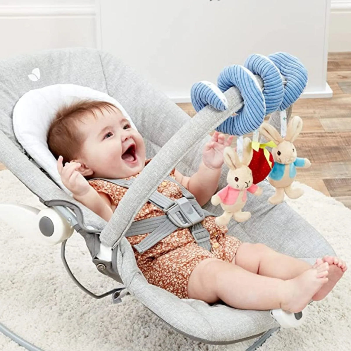 Peter Rabbit Activity Spiral