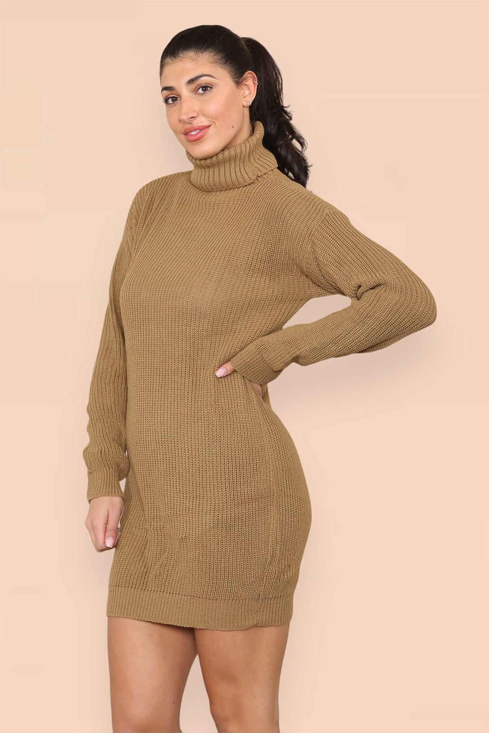Polo Roll Neck Over Sized Ribbed Knitted Florescent Chunky Sweater Jumper Dress