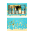 Aqua Breeze 4pc Hair Fragrance Gift Set | Long-lasting Scent & Shine for Lustrous Hair | Premium Collection