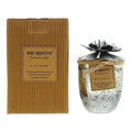 Bali Mantra Hibiscus Glass Silver Candle 500g - Peach Grapefruit