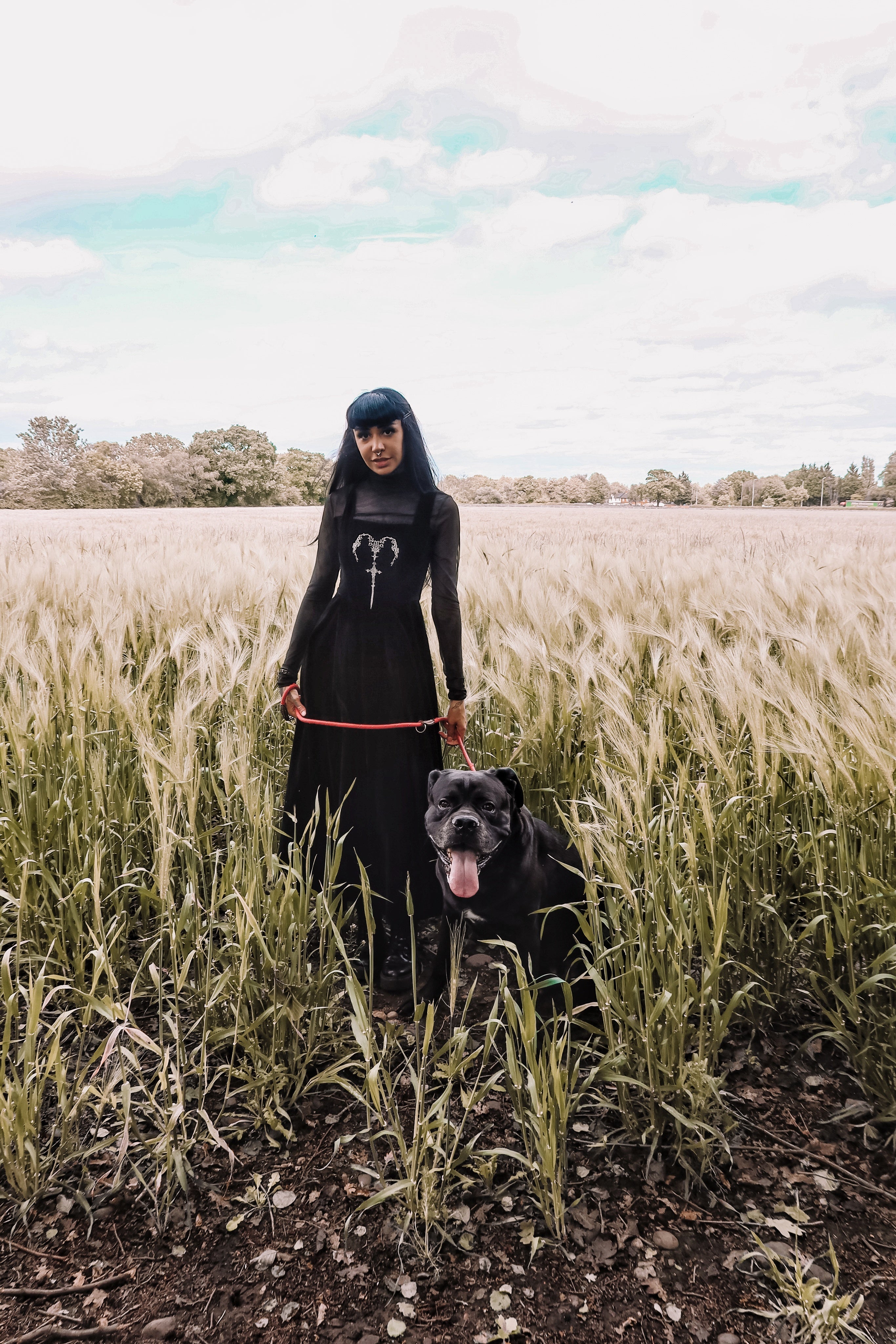 Dark in Love Lux Black Velvet Horn Embroidery Maxi Dress