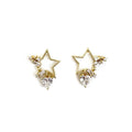 Stellina Hollow Jewelled Star Earrings