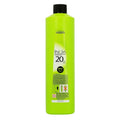 L'Oreal Professionnel Inoa ODS Oxydant Riche 20 vol 6% for Even Colour & Grey Coverage Professional Hair Colouring 1000ml/33.81 oz