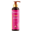 Mielle Pomegranate & Honey Moisturizing & Detangling Shampoo 12oz