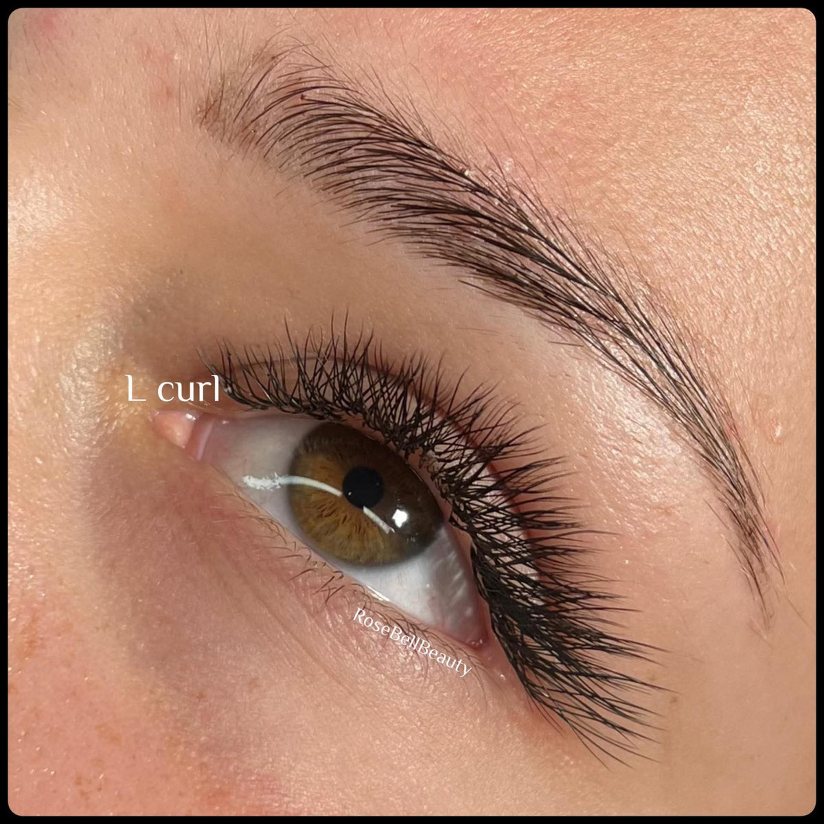 Platinum L Curl Volume Lashes 16 Row Mixed Tray