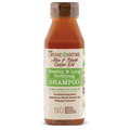 Creme of Nature Aloe & Black Castor Oil Fortifying Shampoo for Stronger, Longer Hair 12 oz / 355 ml