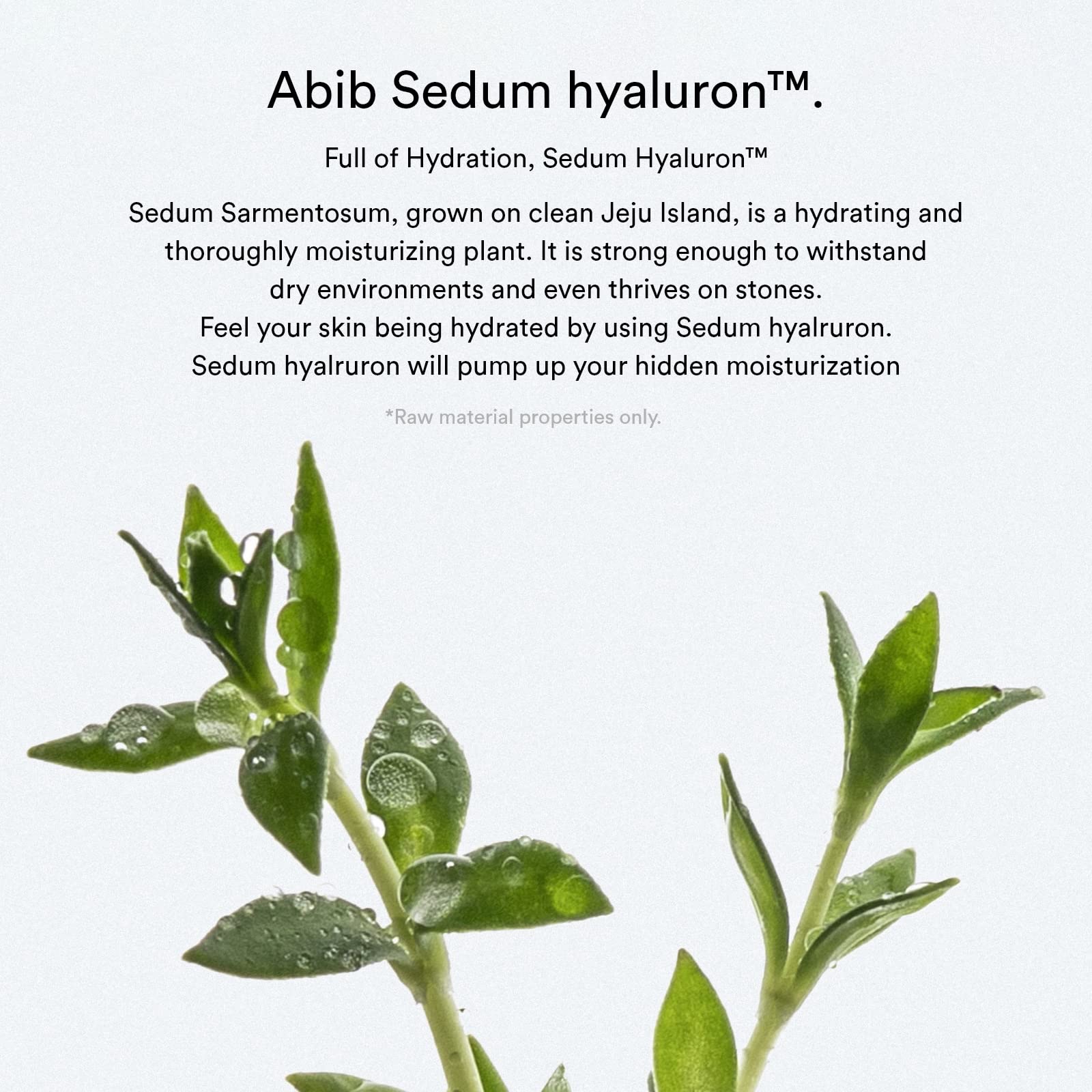Abib Sedum Hyaluron Pad Hydrating Touch (75 Pads) | Hydration for Dry Skin | Korean Skincare