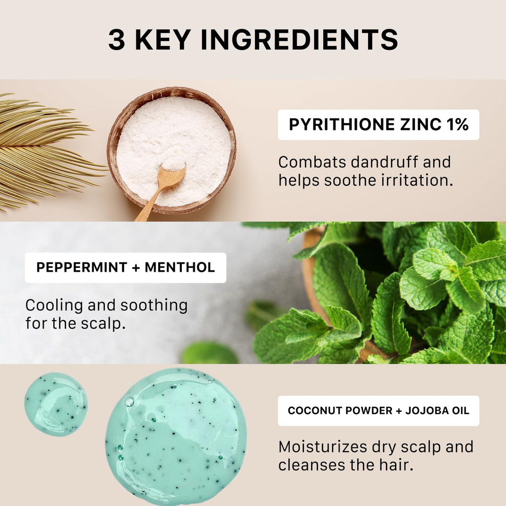 ACTIIV Remedy Dandruff Shampoo Treatment | Plant-Based, Color-Safe & Vegan