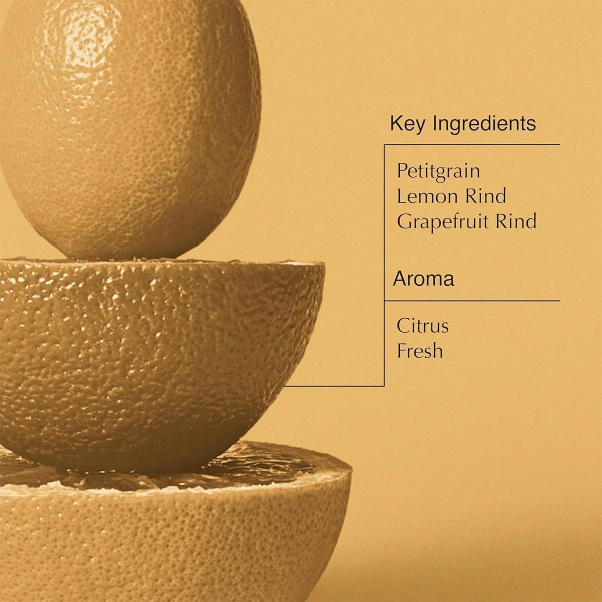 Aesop Citrus Melange Body Cleanser Refill | Gentle Low-Foaming Citrus Gel with Botanical Extracts | 16.9 oz / 500 mL