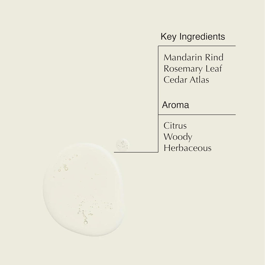 Aesop Resurrection Aromatique Hand Wash Refill — Gentle Cleanser (3 x 500mL)