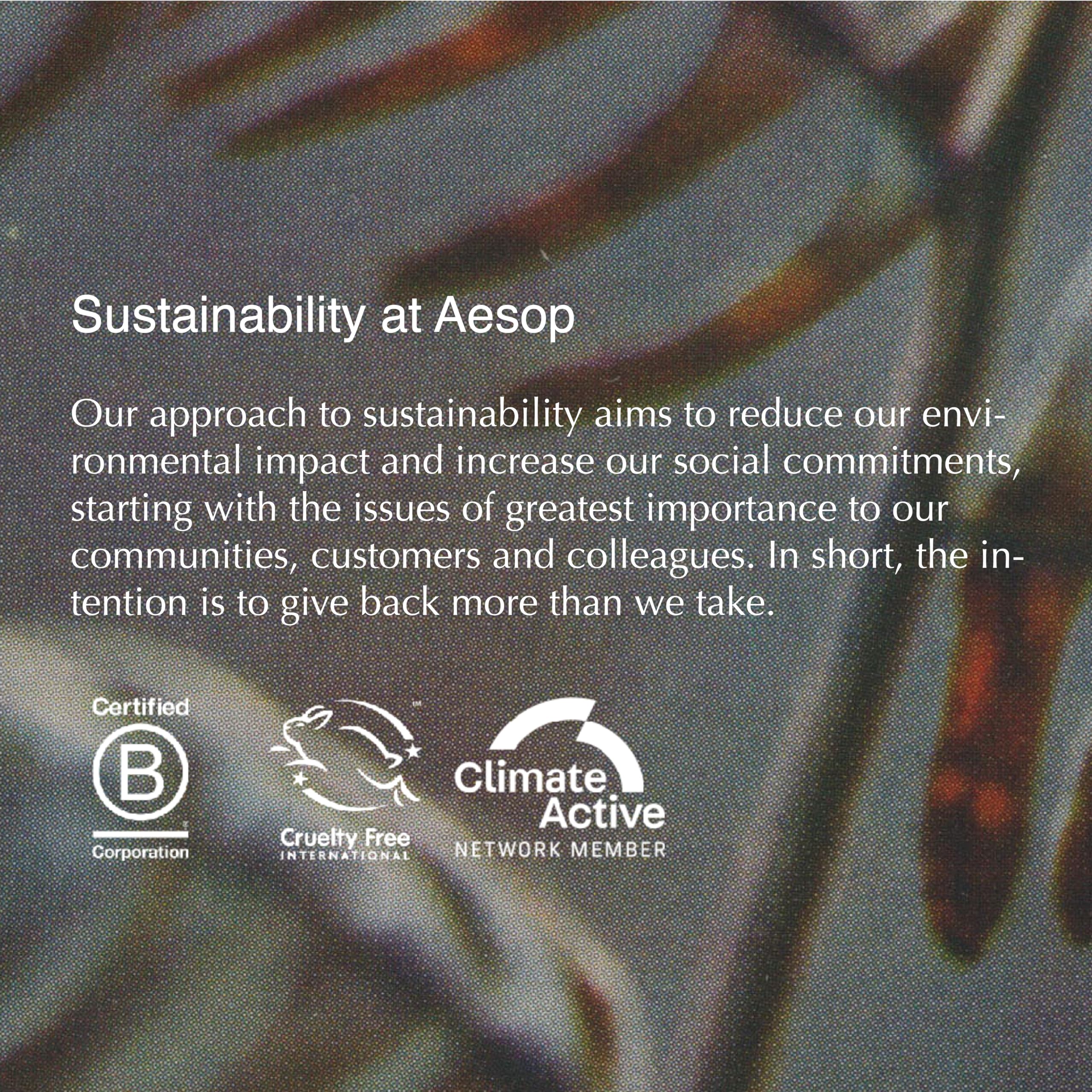 Aesop Tame Hair Serum | Smooth Flyaways & Frizz — Lightweight, Non-Sticky Formula | 2 oz / 60 mL