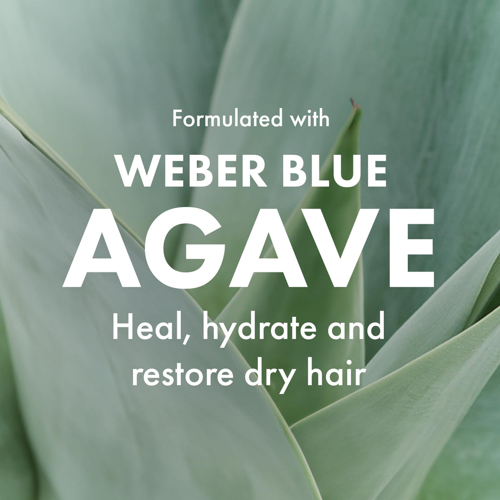Agave Smoothing Shampoo – Hydration & Frizz Control | Color-Safe, Sulfate-Free (33.8 oz) | Agave Healing Oil