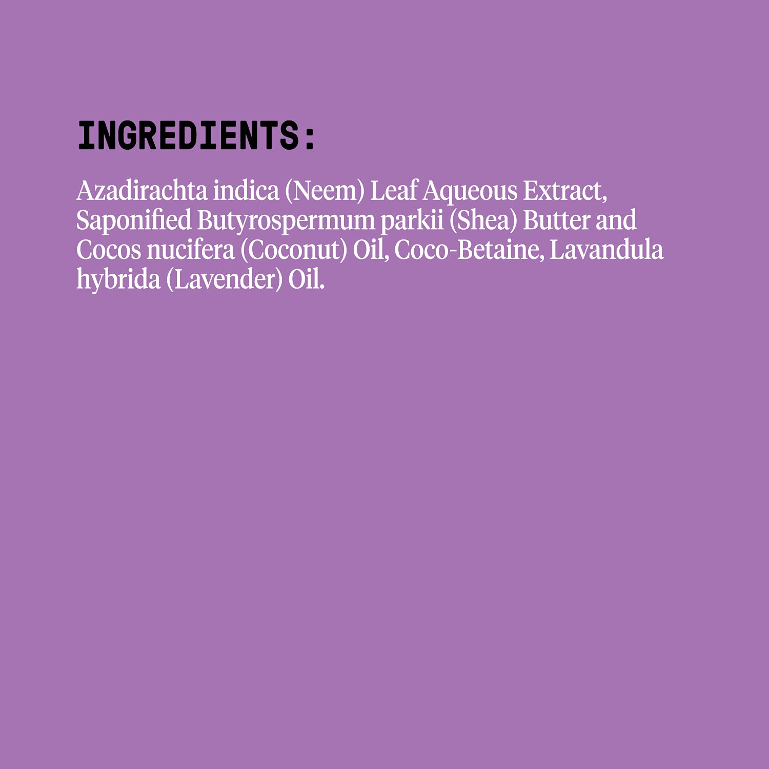 Alaffia Everyday Shea Body Wash Lavender – 2-Pack, Moisturizing Cleanser with Fair Trade Shea Butter
