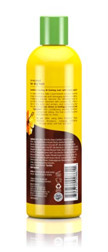 Alba Botanica Drink It Up Coconut Milk Hawaiian Conditioner — Hydrates Hair (12 oz)