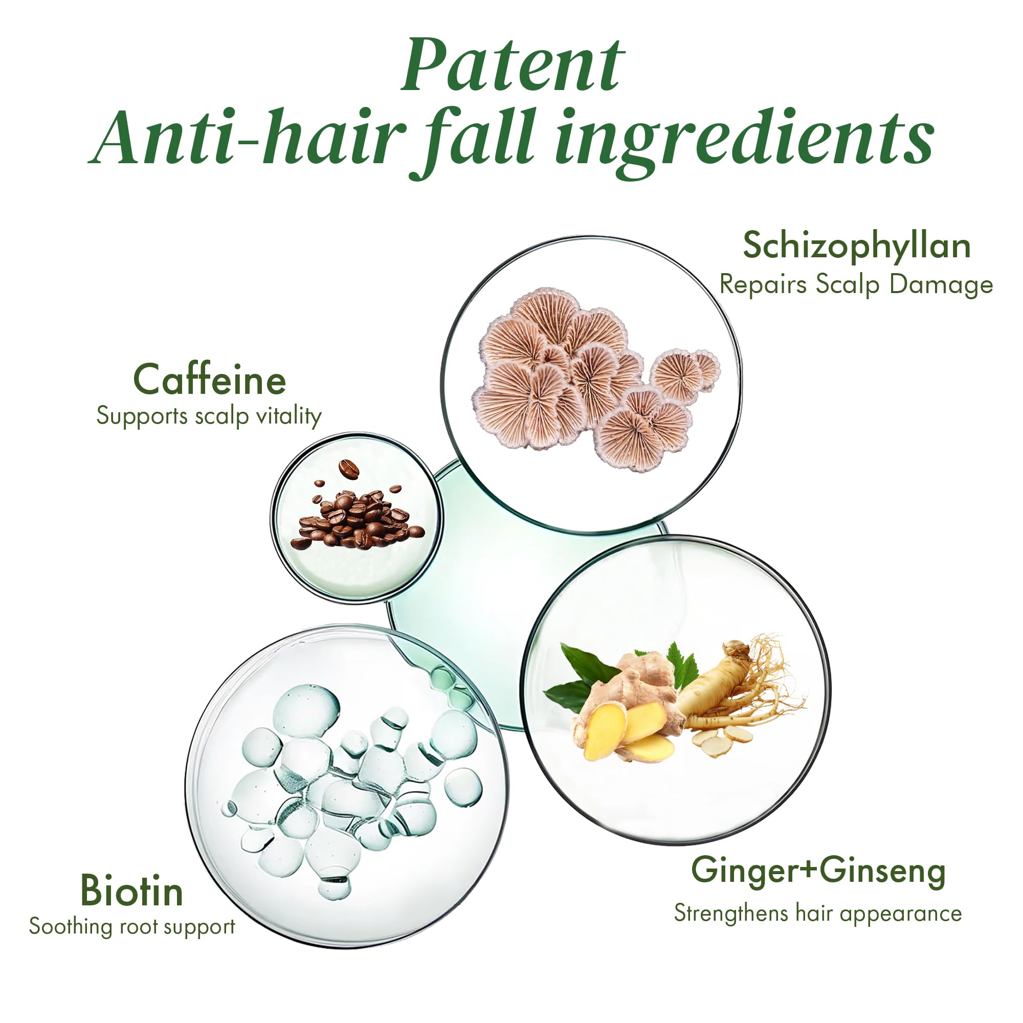 ALFHEIM Saw Palmetto Scalp Serum for Thicker Hair – Caffeine, Biotin, 1.69 fl oz + Serum Applicator