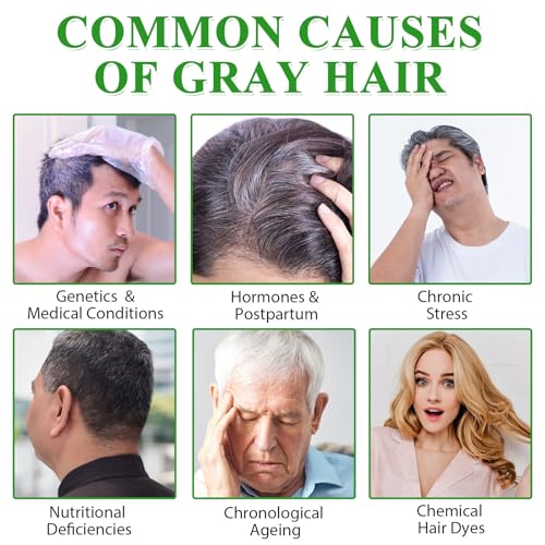 ALIVER Hair Dye Shampoo Black – 3-in-1 Color, Nourish & Growth Promoter 500ml