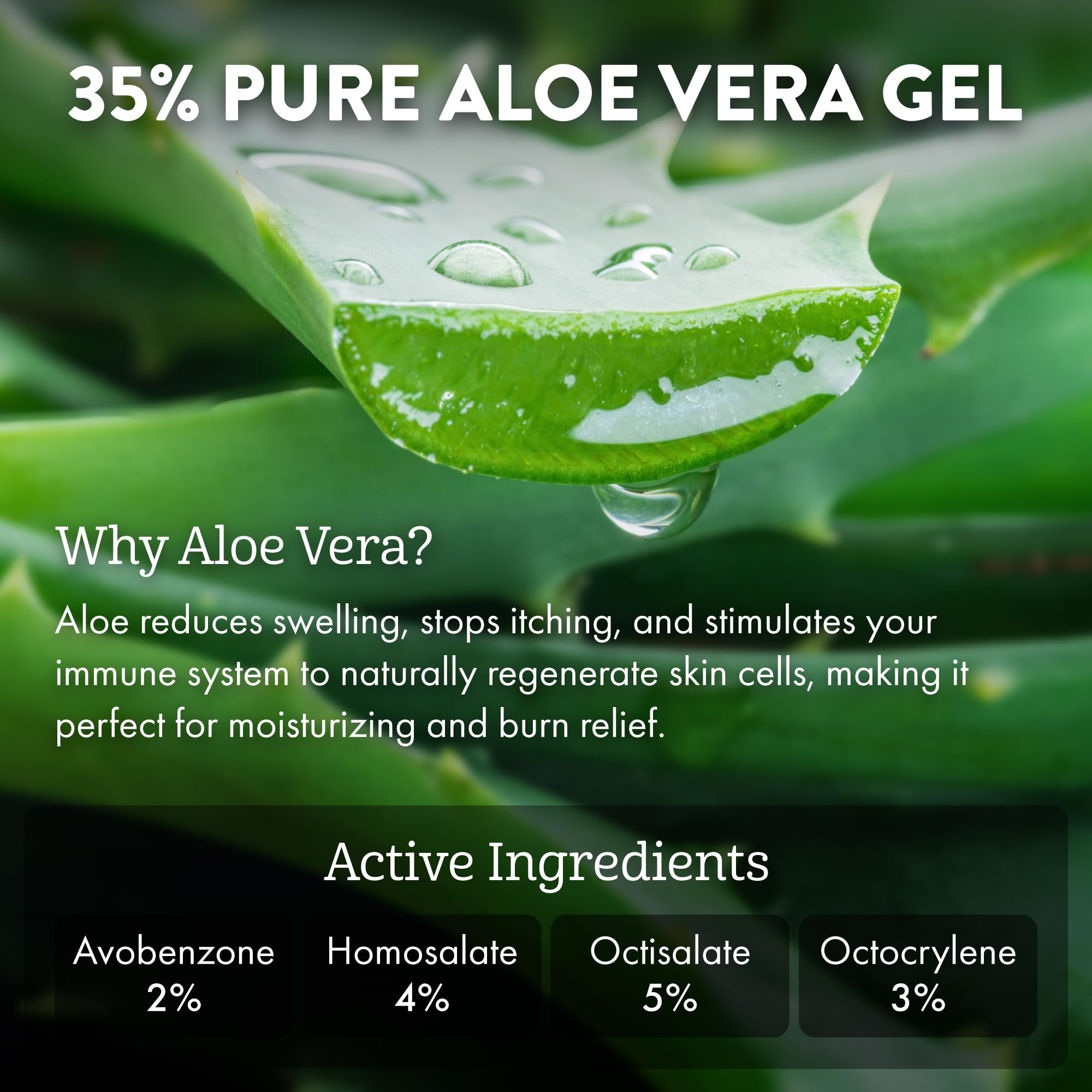 Aloe Up Sport Sunscreen Lotion SPF 15 – Broad Spectrum, Non-Greasy, Fragrance-Free