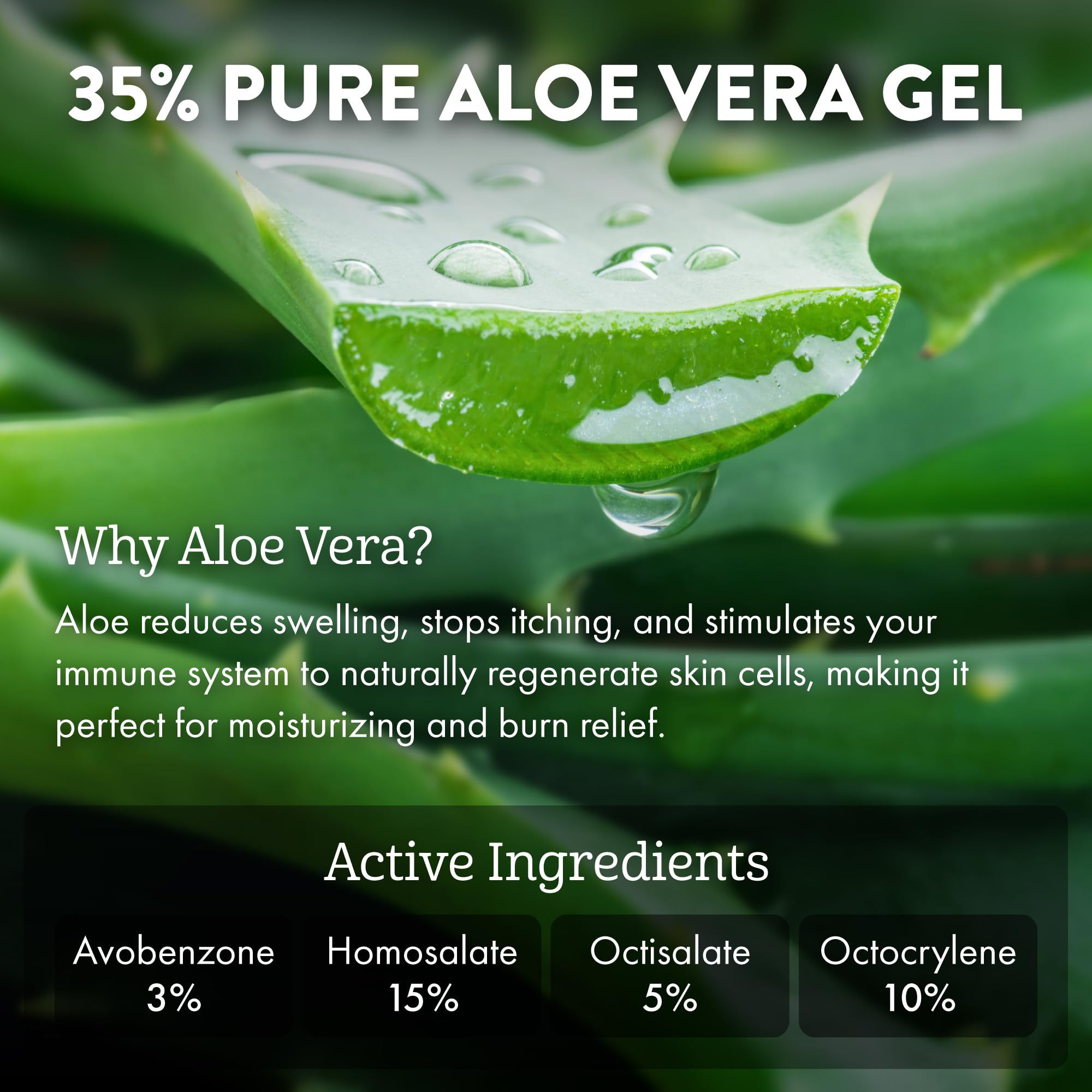 Aloe Up Sport Sunscreen Lotion SPF 50 – Broad Spectrum, Reef Safe, Non-Greasy