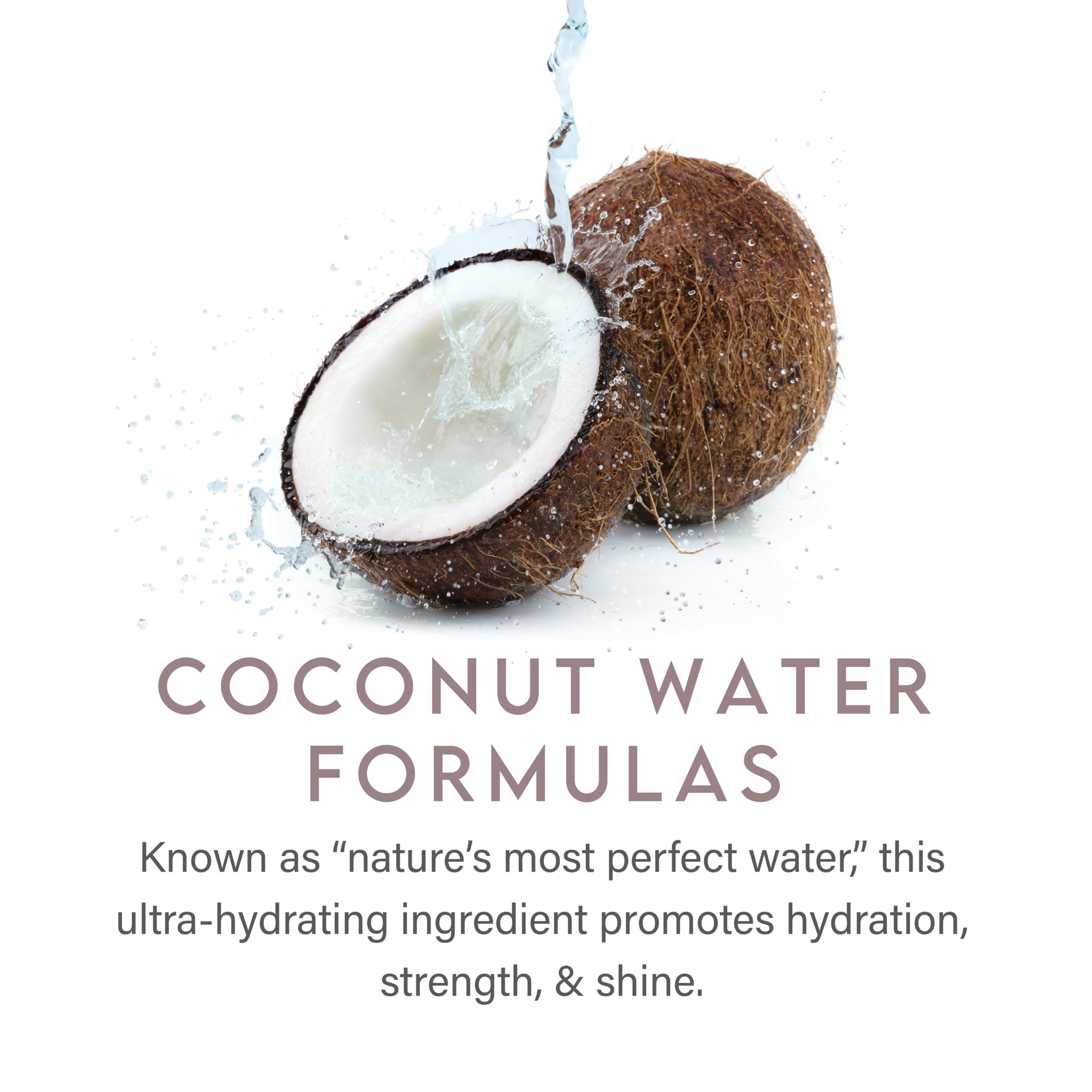 ALURAM Body Lotion – Hydrating Coconut Water & Squalane, Vegan, 18 oz