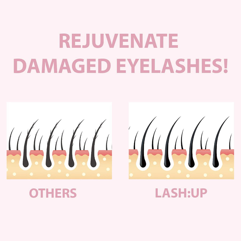 Amber Lash Curlerful 2-Step Brow Lamination Kit Step 1 & Step 2 20 ml Each for Lashes & Brows