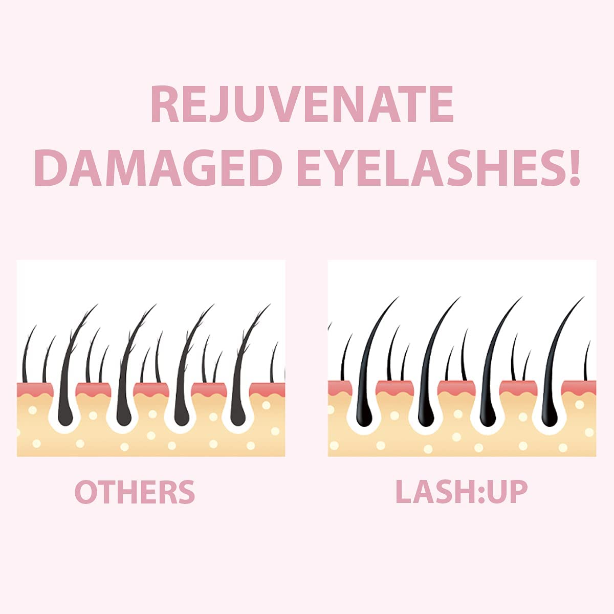 Amber Lash Curlerful 2-Step Brow Lamination Kit Step 1 & Step 2 20 ml Each for Lashes & Brows