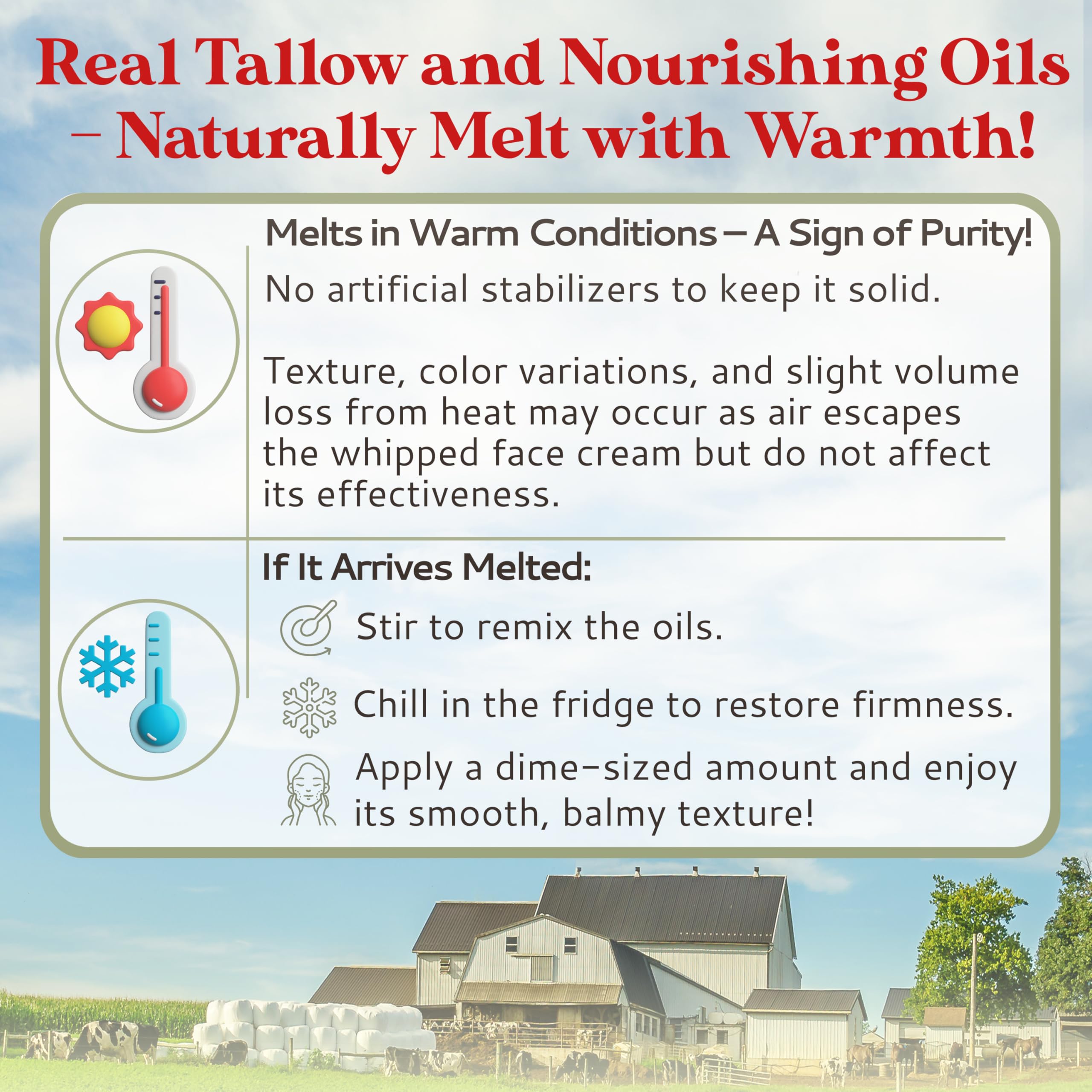 Amish Farms Tallow Face Cream – Handcrafted Grass-Fed Tallow Moisturizer (50g) with Orange & Vanilla