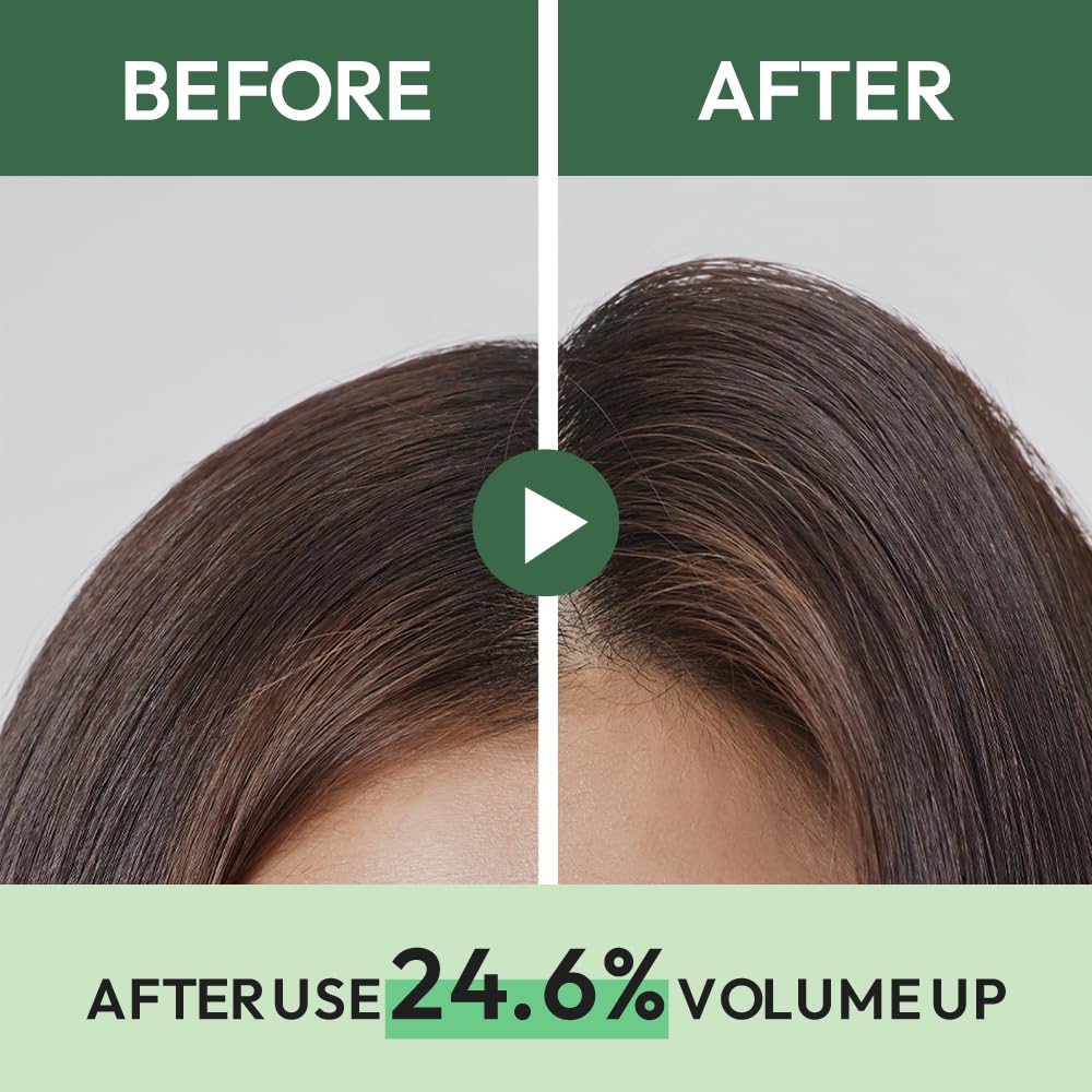 AMOS PROFESSIONAL The Green Tea Shampoo Refresh for Oily Scalp – 17.6oz (500g) | Silicone-Free Hair Growth Shampoo