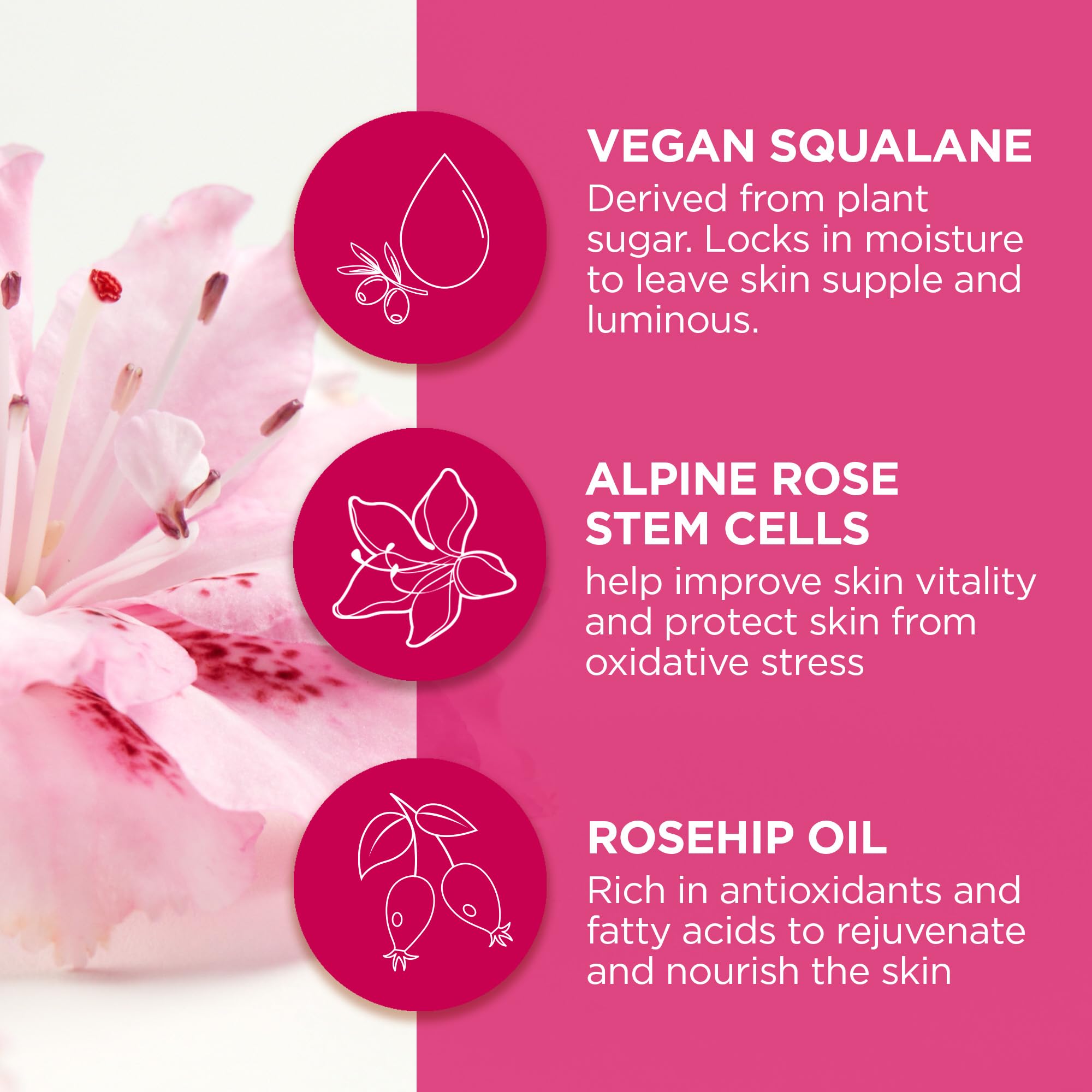 Andalou Naturals 1000 Roses Soothing Squalane Oil | Lightweight Hydration