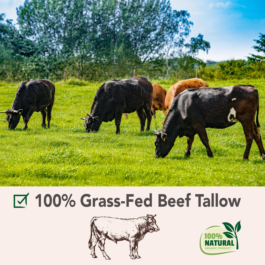 ANGELYCIA Beef Tallow for Skin — 100% Grass-Fed Handmade Tallow Balm for Face & Body