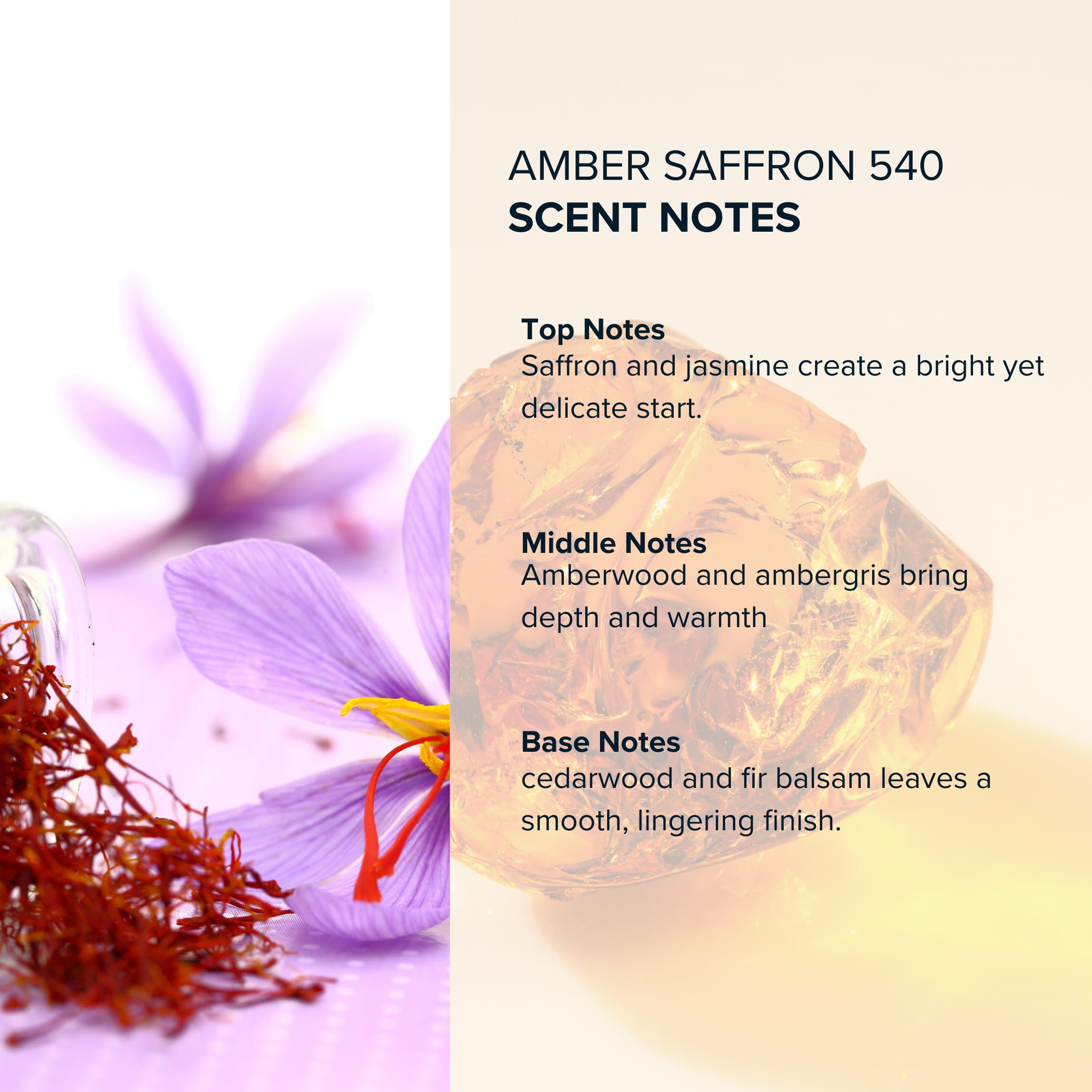 Anthology Amber Saffron 540 Roll-On Perfume Oil — 0.3oz | Woody, Amber, Floral | Clean & Cruelty-Free