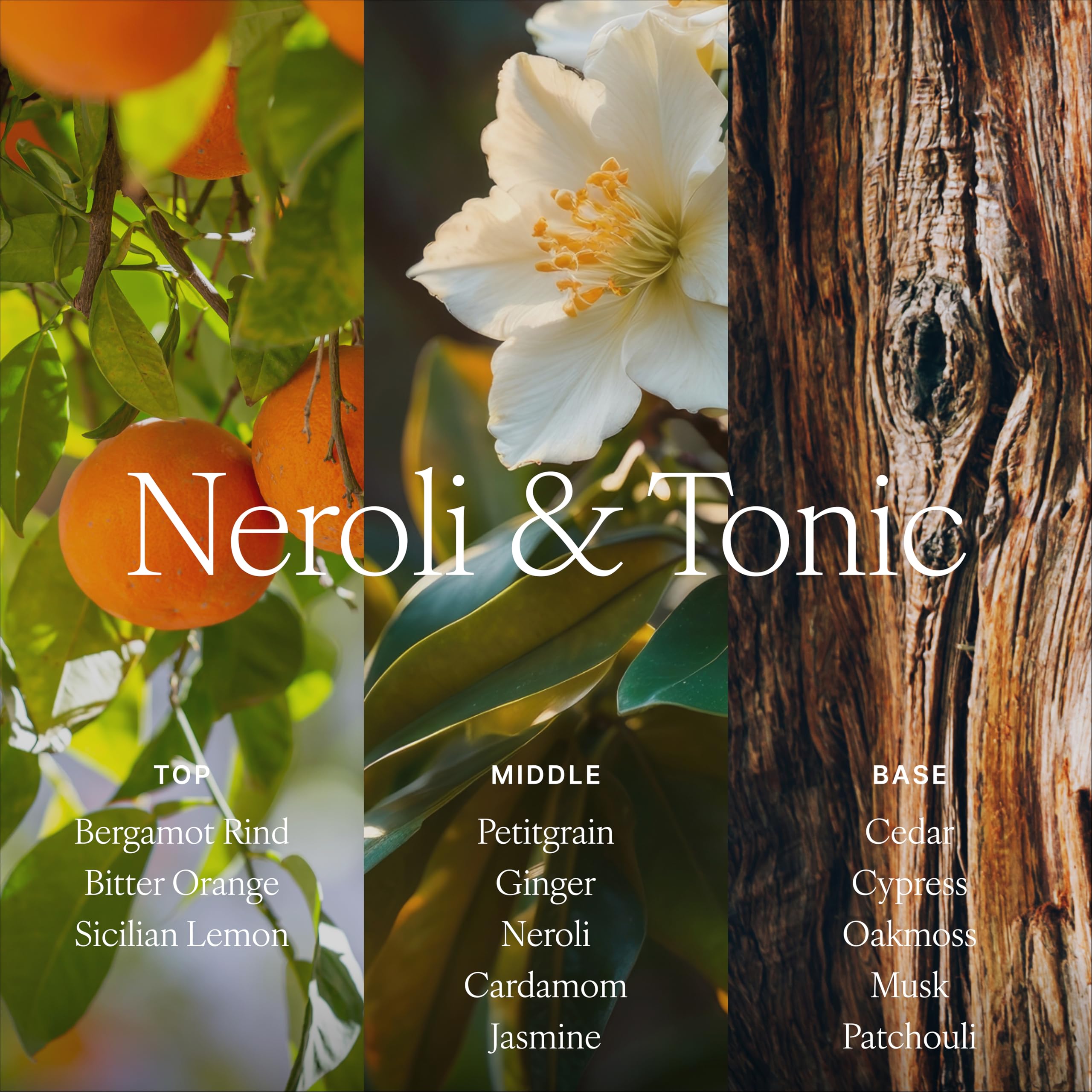 Antica Farmacista Hand & Body Wash – Neroli & Tonic | Luxury Hydrating Cleanser