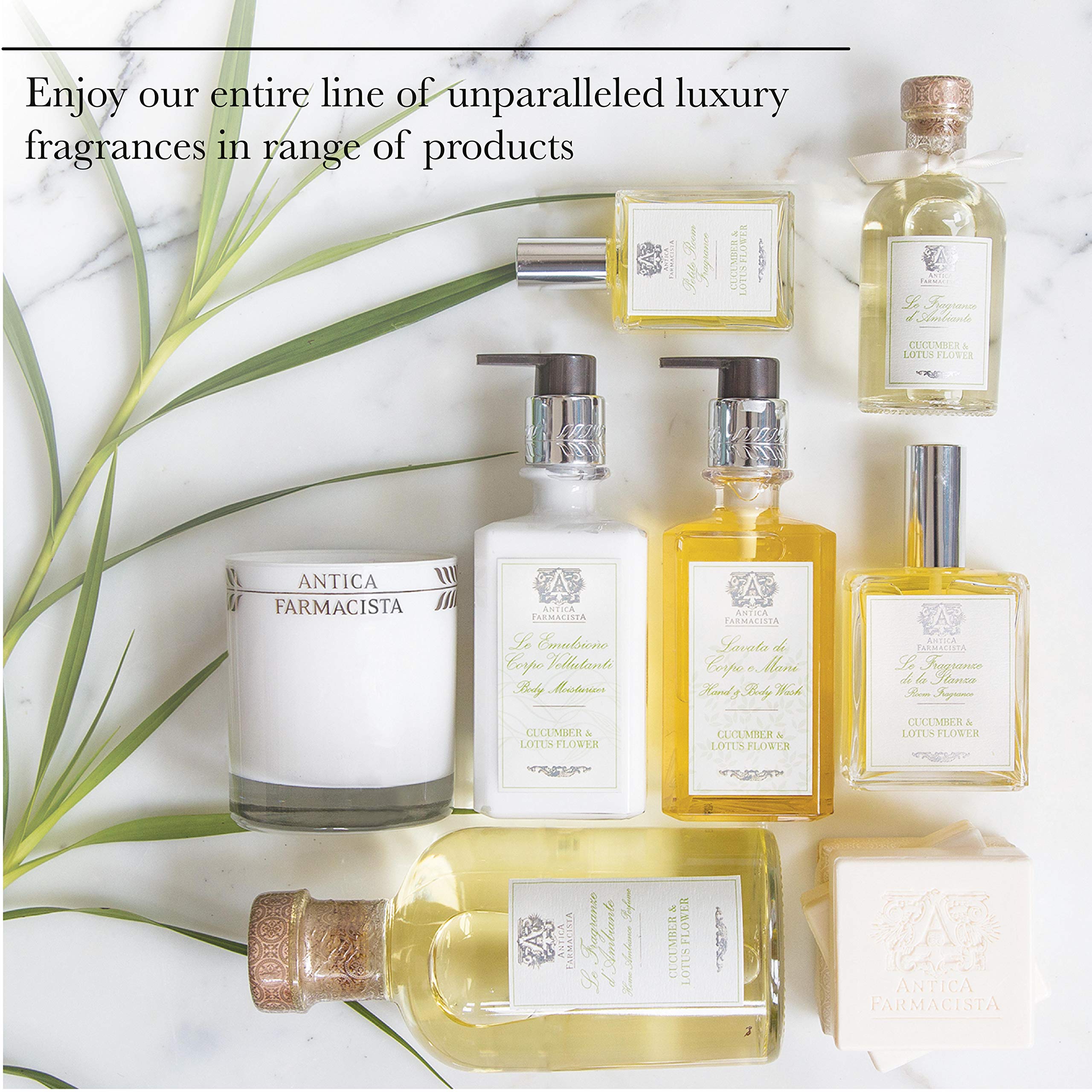 Antica Farmacista Ironwood Hand & Body Wash – Luxury Hydrating Cleanse (10 oz)