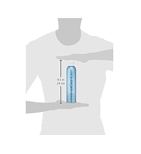 AQUAGE Dry Shampoo Style Extending Spray – Oil-Absorbing + Texturizing, 8 oz