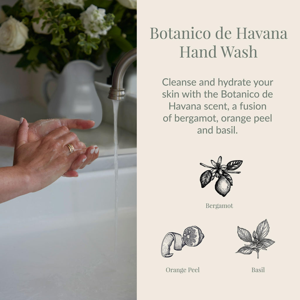 Archipelago Botanicals Botanico de Havana Liquid Hand Soap | Moisturizing Daily Hand Wash with Pump | 16.5 Fl Oz