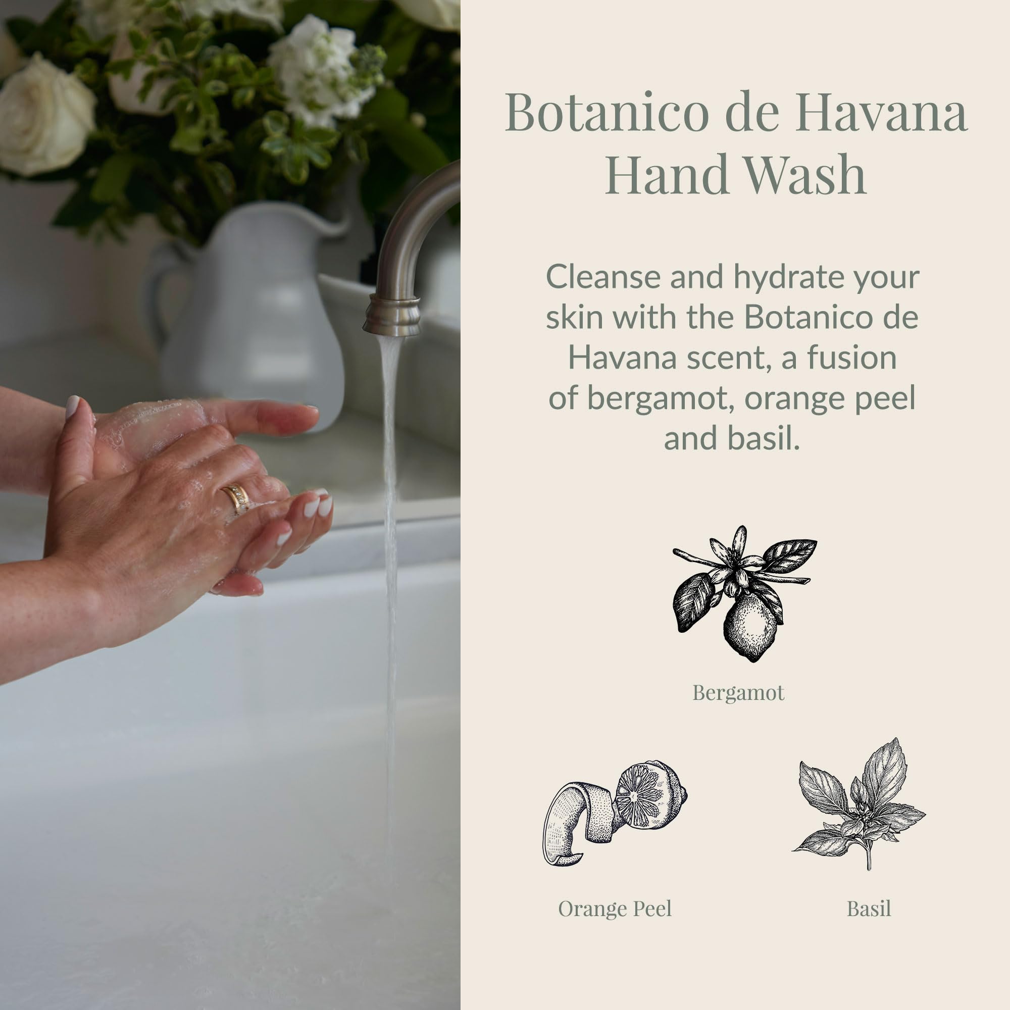 Archipelago Botanicals Botanico de Havana Liquid Hand Soap | Moisturizing Daily Hand Wash with Pump | 16.5 Fl Oz