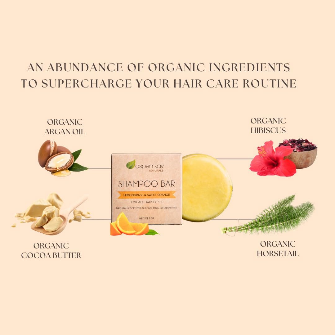Aspen Kay Naturals Moroccan Argan Oil Shampoo Bar – Organic & Vegan, Sulfate-Free, 3 oz