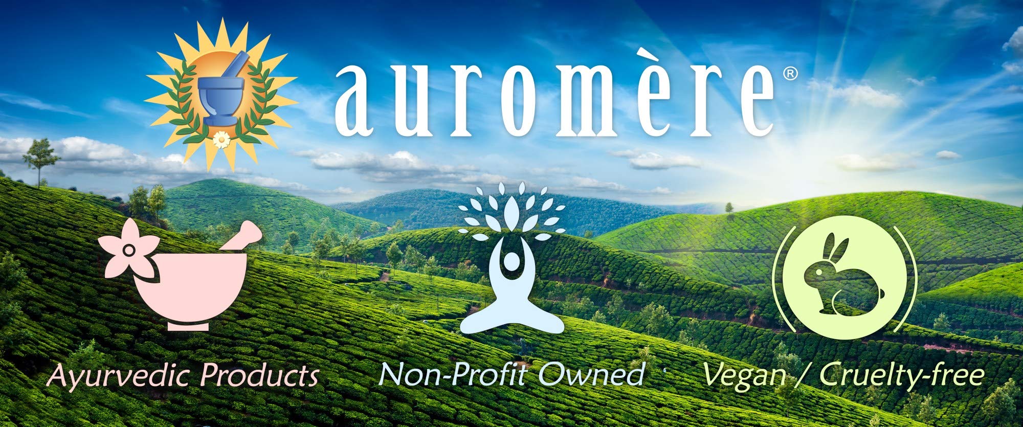 Auromere Ayurvedic Pre-Shampoo Conditioner – Vegan, Sulfate-Free, Non-GMO (2x7 oz)