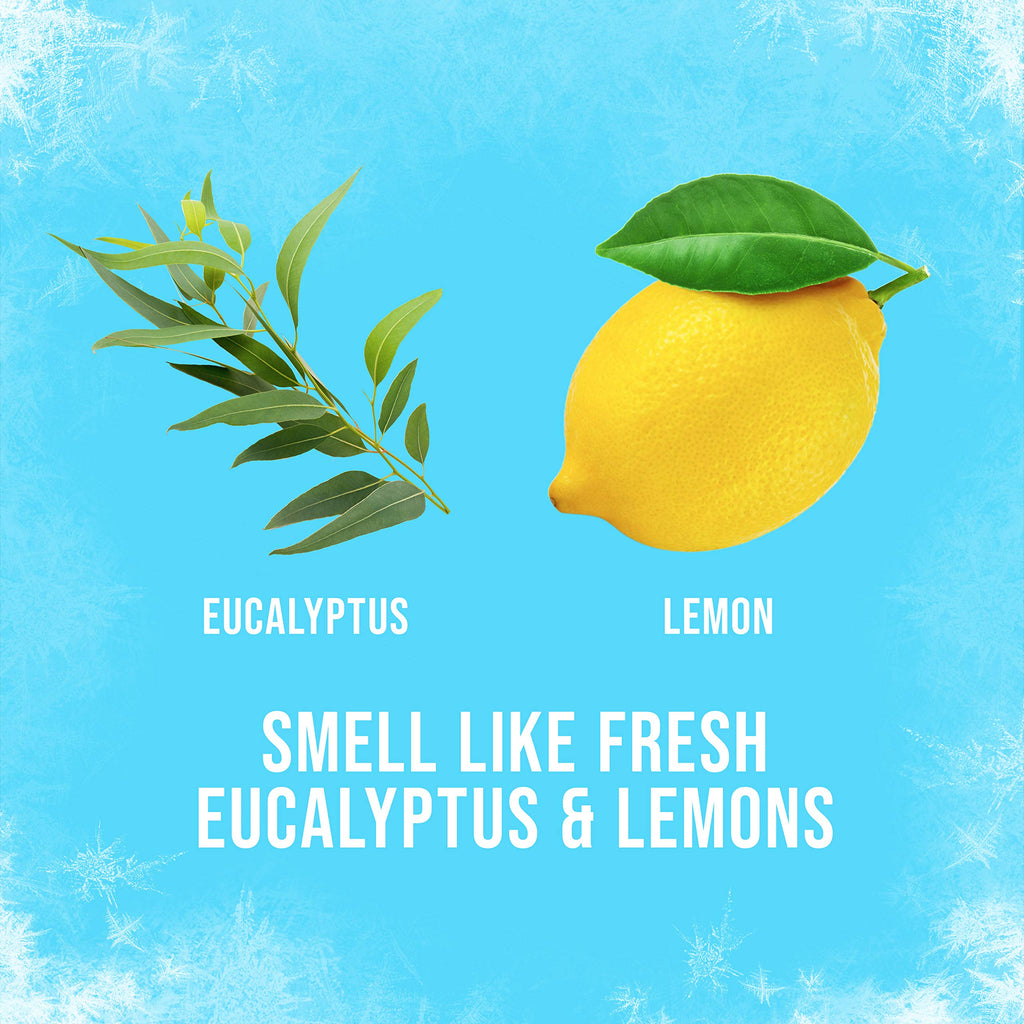 AXE Ice Chill Deodorant Body Spray – Lemon & Eucalyptus, Pack of 2 x 4 oz Cans