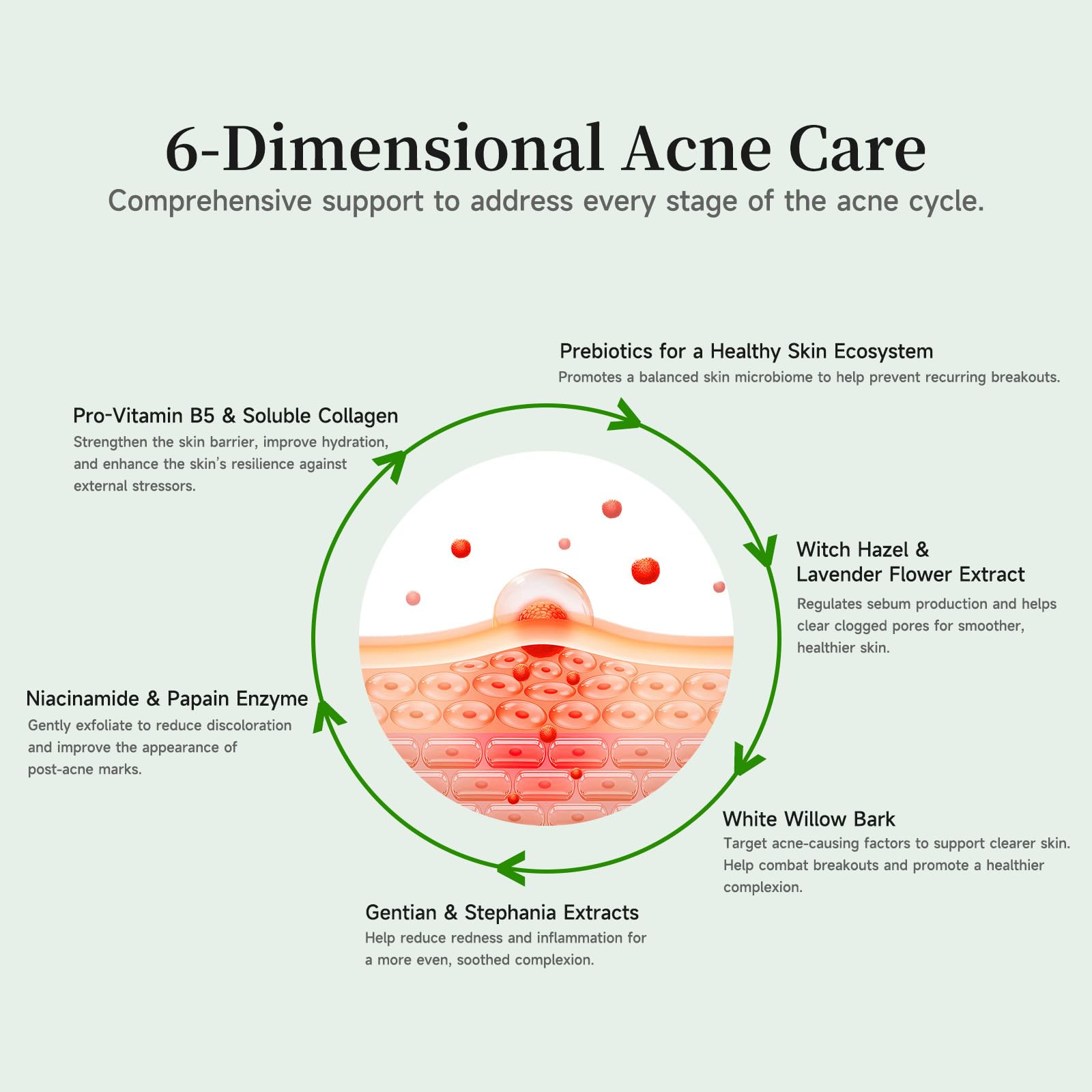 BACHERI Gentle Botanical Acne Serum – Niacinamide & Witch Hazel, 1.2 ml × 30 Ampoules