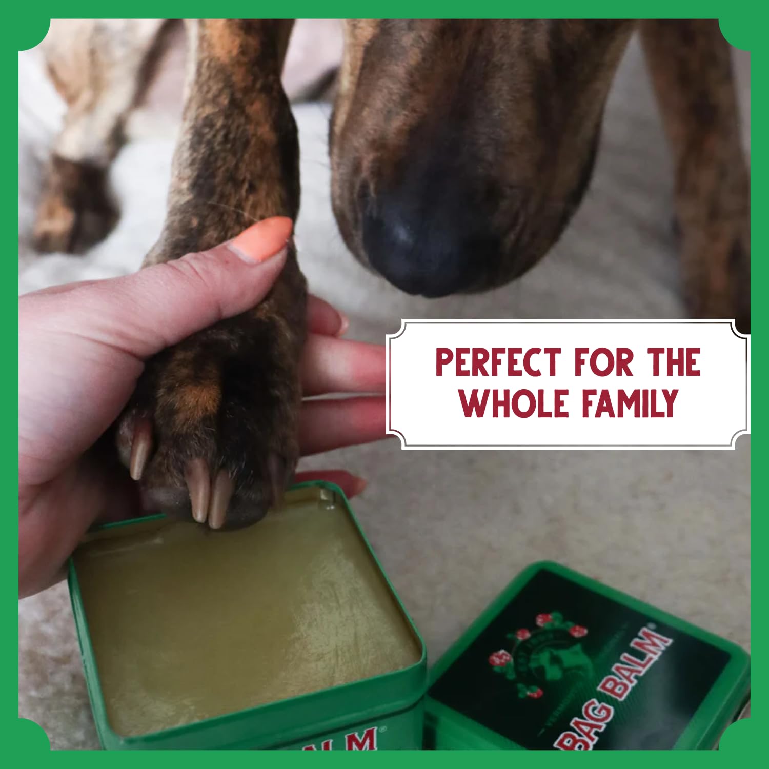 Bag Balm Vermont’s Original Pet Paw & Skin Balm – Moisturizing Salve for Dry Paws, Noses & Rough Skin – 8 oz (2 Pack)