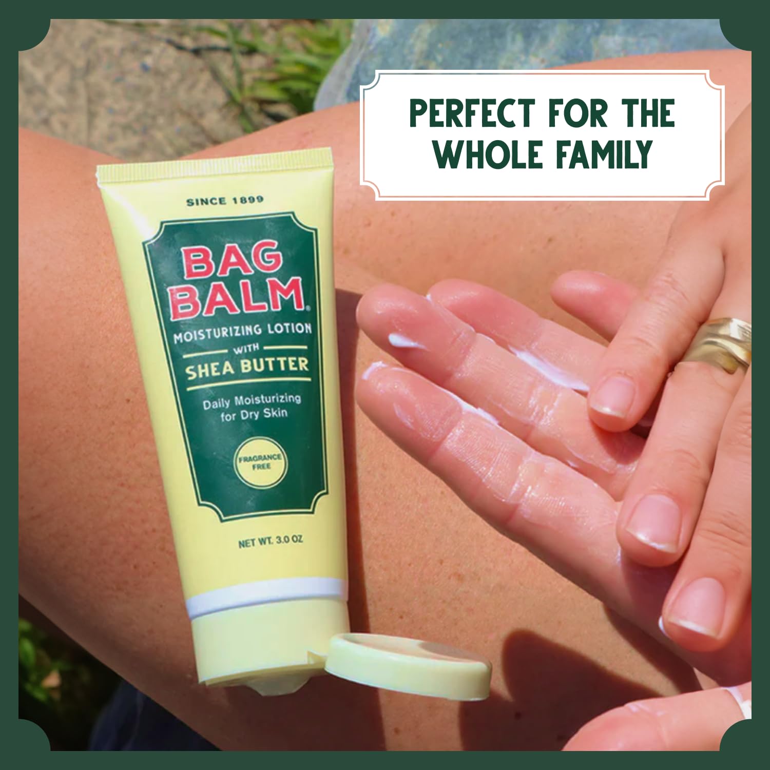 Bag Balm Moisturizing Body Lotion with Shea Butter & Jojoba – 2-Pack, 8oz Tubes