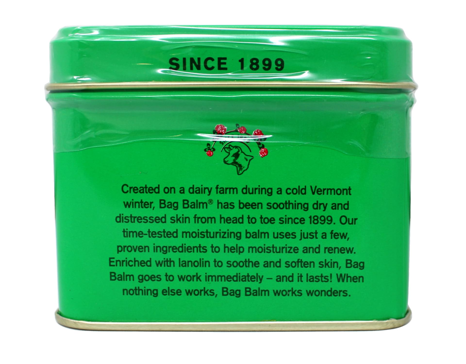 Bag Balm Skin Moisturizer Kit - Original Formula for Dry Skin, Hands & More | 8 oz Tin + 0.33 oz On-The-Go Tube