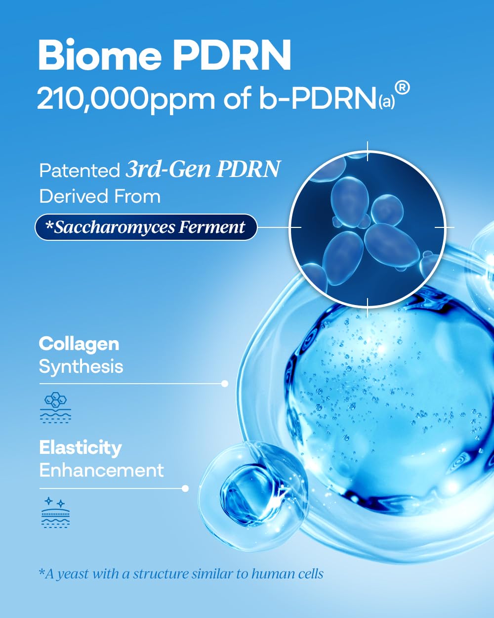 Bano PDRN 500 Ampoule – Firming & Hydrating Serum (PDRN, Peptides, Collagen, HA) Fragrance-Free
