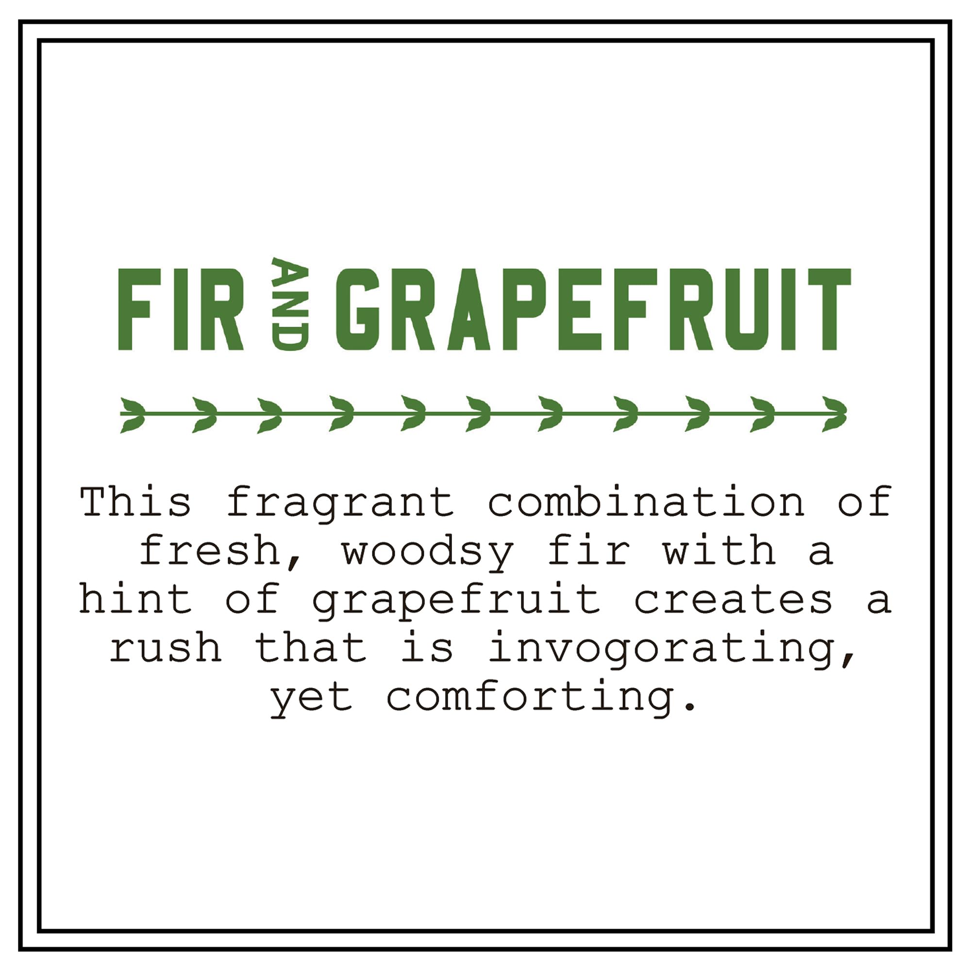Barr-Co Fir & Grapefruit Bath Salts – Woodsy Citrus, Handmade in USA, 32 oz