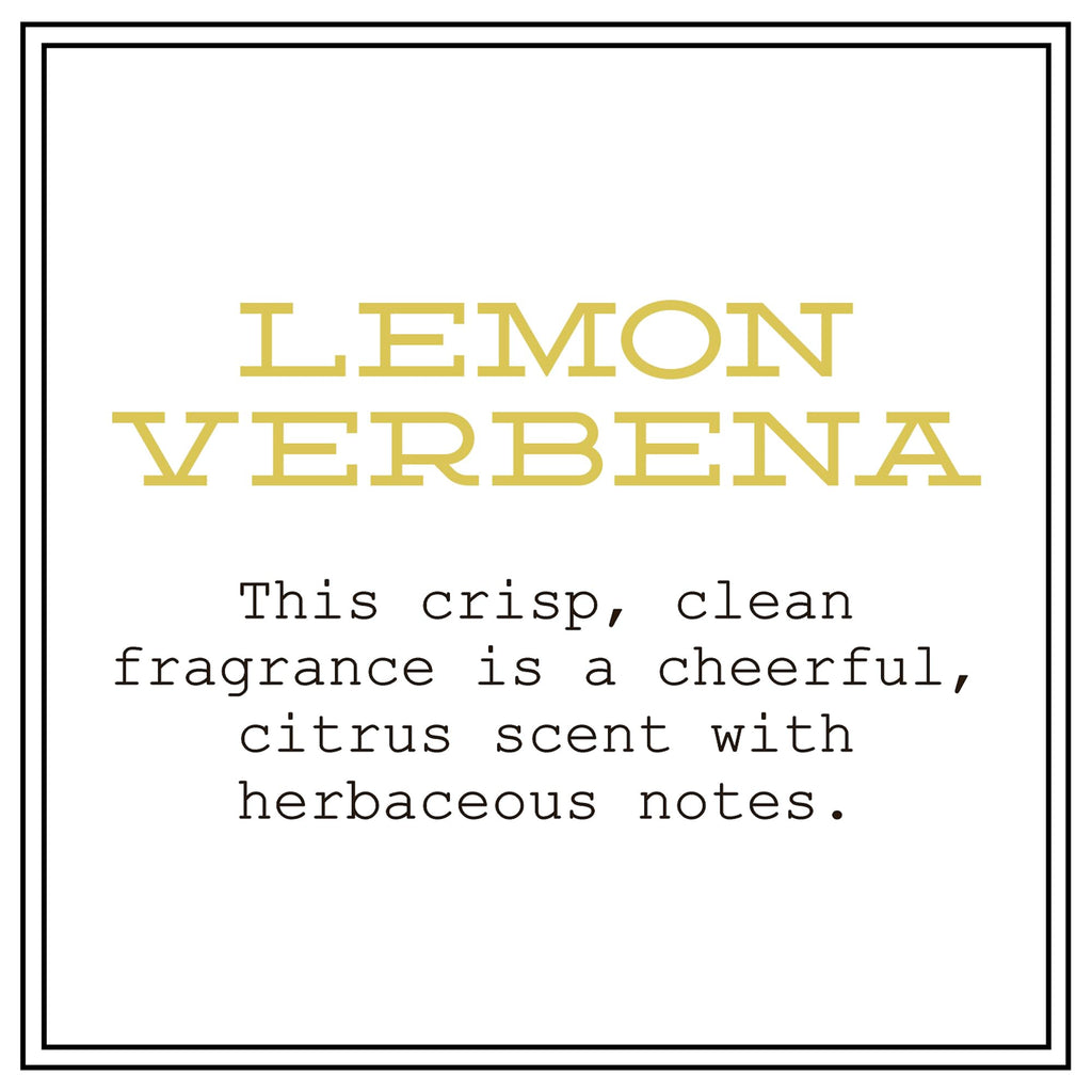 BARR-CO Hand Soap Refill – Lemon Verbena, Vegan & Moisturizing, 16 fl oz