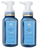 Bath & Body Works Crisp Morning Air 2-Pack Gentle Foaming Hand Soap – 8.75 oz Each