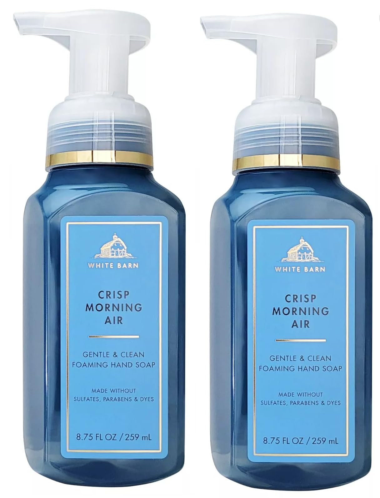 Bath & Body Works Crisp Morning Air 2-Pack Gentle Foaming Hand Soap – 8.75 oz Each